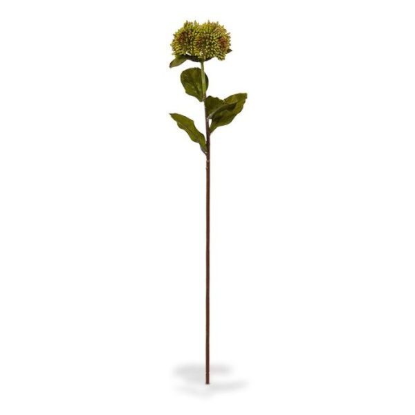 Kunstbloemen de bladprint en de 3D structuur van de bladnerf voelt deze aan als een echte! De kunst Sedum tak wordt standaard als losse steel geleverd en mag natuurlijk in geen enkel kunstzijden veldboeket ontbreken! De totale steel heeft een lengte van ongeveer 51 cm en een breedte van ongeveer 10 cm en is verkrijgbaar in groen en rood. Vanaf 12 stuks profiteert u van een korting op de prijs.