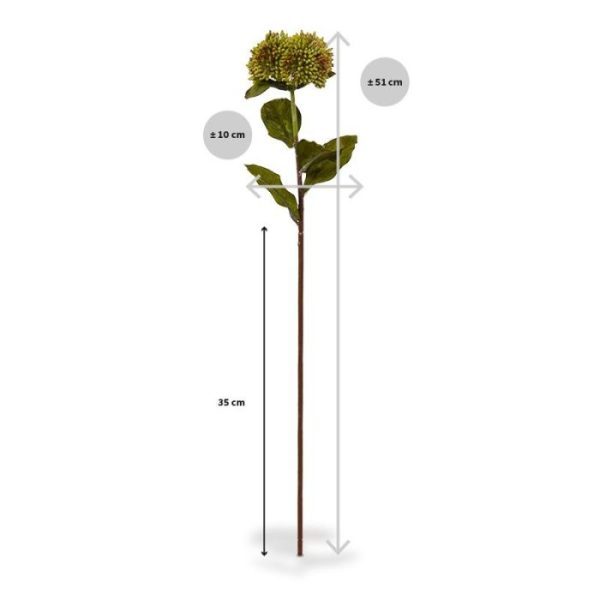 Sedum kunsttak 50 cm groen Deze mooie Sedum kunsttak is een kopie van een echte vetplant. De kunsttak is opgebouwd uit een steel met daarop 4 perfect nagemaakte sedum bollen die in elkaar grijpen. Door de gebruikte materialen