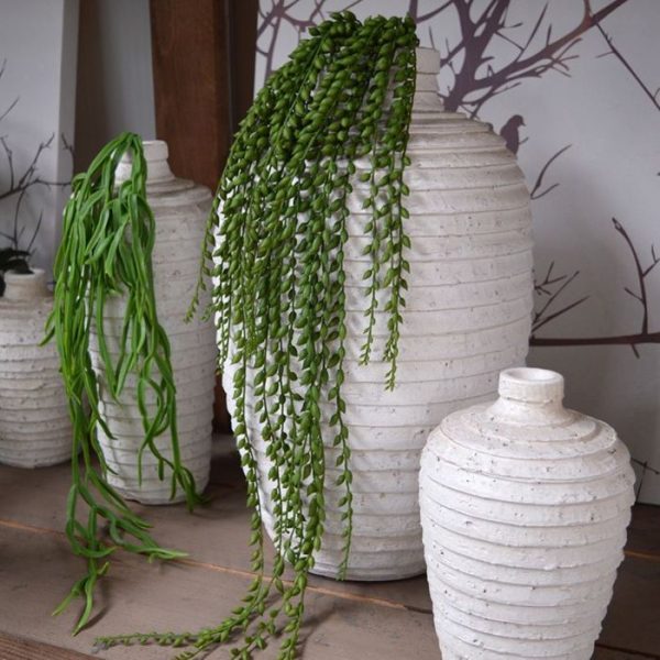 inclusief steker en 80 cm effectief. De breedte bedraagt ongeveer 13 cm. Met de steker aan de achterkant kunt u de Senecio makkelijk ophangen of in een sierpot of bak opsteken. Een plantje dat zich overal thuis voelt en in elke interieur past. Vanaf 6 stuks profiteert u van de voordeel prijs.