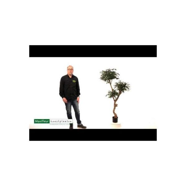 Shirakashi-Layer-Deluxe-x3-160-cm-10 Shirakashi Layer Deluxe x3 160 cm 10