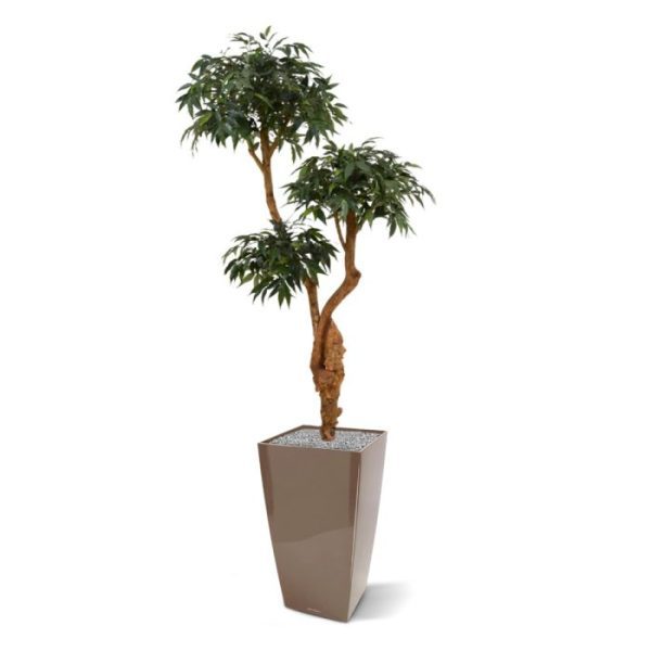 Groene kunstbomen welke gecultiveerd is voor decoratieve doeleinden. En dat is te zien!  De kunstboom is gemaakt van samengestelde grove stammen van echt hout