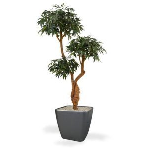 Deze schitterende kunst Shirakashi Layer Deluxe x3 160 cm