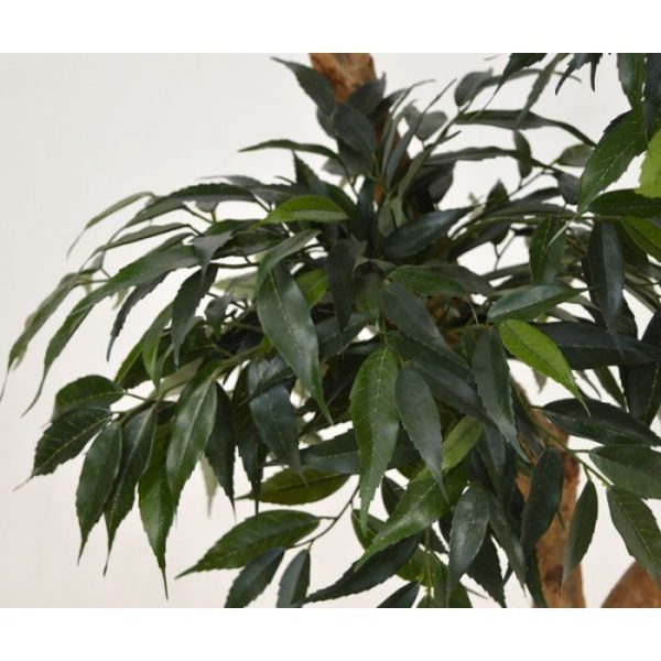 Shirakashi-Layer-Deluxe-x3-160-cm-6 Shirakashi Layer Deluxe x3 160 cm 6