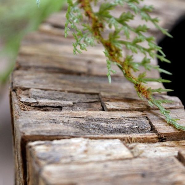 Plantenbakken Sierpot Bosco Bowl Plus Cemani 55x40 cm 1