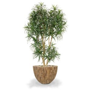 Sierpot Bosco Bowl Plus Cemani 55x40 cm