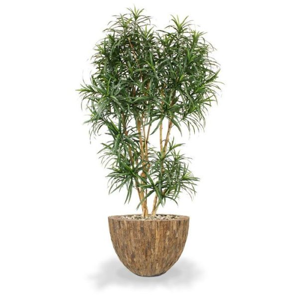 Sierpot Bosco Bowl Plus Cemani 55x40 cm Sierpot Bosco Bowl Plus Cemani 55x40 cm