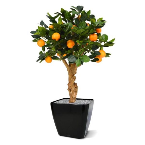 Bloeiende kunstplanten heeft een breedte van ongeveer 50 cm en is gemonteerd op een houten voetje van 10x10 cm. Zo wordt hij standaard geleverd.