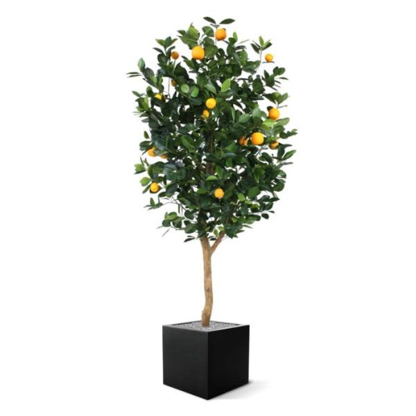 gebouwd op een natuurlijke houten stam en wordt standaard in een plastic pot geleverd.