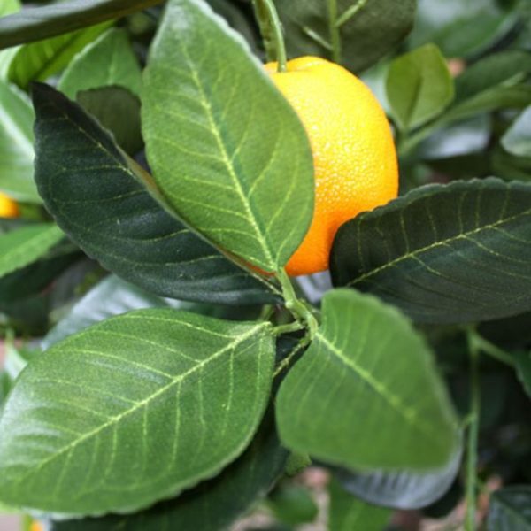 Sinaasappel kunstboom deluxe 150 cm 3