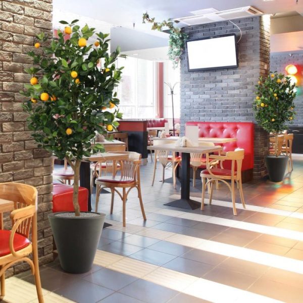 Sinaasappel kunstboom deluxe 150 cm 6