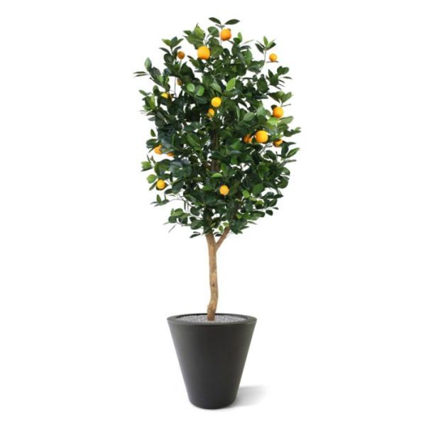 De sinaasappels in deze boom zou je bijna willen opeten!  De vernieuwde Sinaasappelboom Deluxe heeft een nog mooiere bladprint en ziet er daardoor nog echter uit. De boom is geschikt om een thema presentatie mee te maken