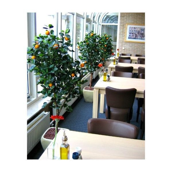 Sinaasappel kunstboom deluxe 150 cm 7