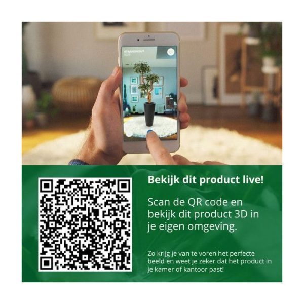 Spathiphyllum-50cm-in-pot-3 maar komt ook goed tot zijn recht in een hoge pot.