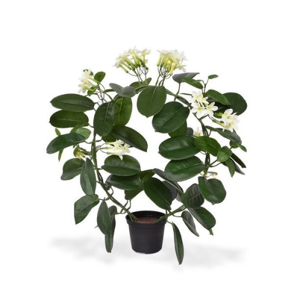 Stephanotis-kunstplant-40-cm-3 Stephanotis kunstplant 40 cm 3