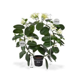 Nieuw - Stephanotis kunstplant 40 cm