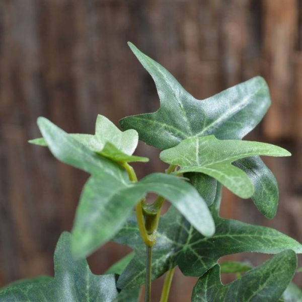 Kunstbloemen Ster Hedera kunsttak 55cm 1