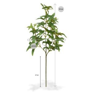 Deze Ster Hedera tak 55cm kunt u gebruiken als basis in kunstboeketten. Het kunstzijden stervormige blad heeft een natuurgetrouwe kleur en een perfect nagemaakte bladnerf. De kunsttak is zeer goed nagemaakt met meerdere zijtakken en 20 kunstzijden bladeren. De totale lengte van de kunsttak is ongeveer 55 cm. De breedte is ongeveer 20 cm. Vanaf 12 stuks geldt een voordeel prijs.