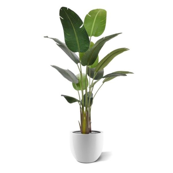 Strelitzia Nicolai kunstboom 190 cm 1