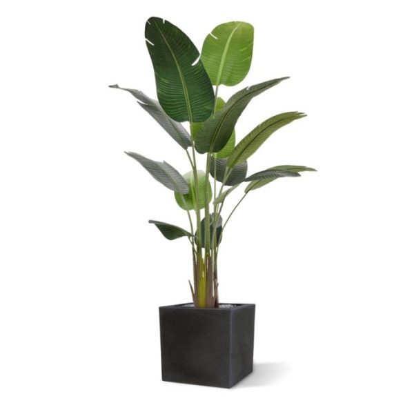 Strelitzia Nicolai kunstboom 190 cm 2