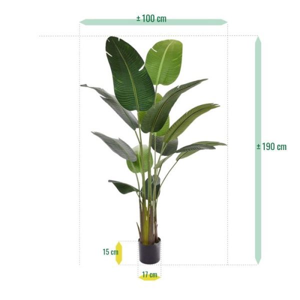 Strelitzia Nicolai kunstboom 190 cm 3