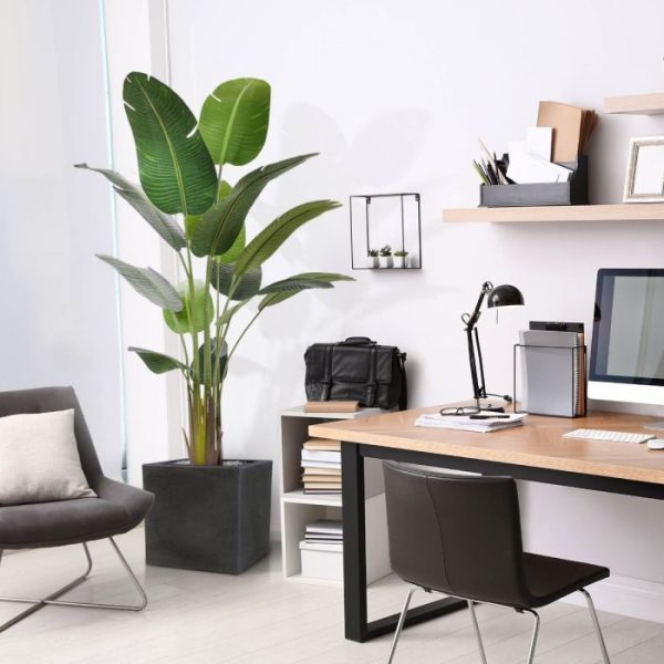 Strelitzia Nicolai kunstboom 190 cm 4