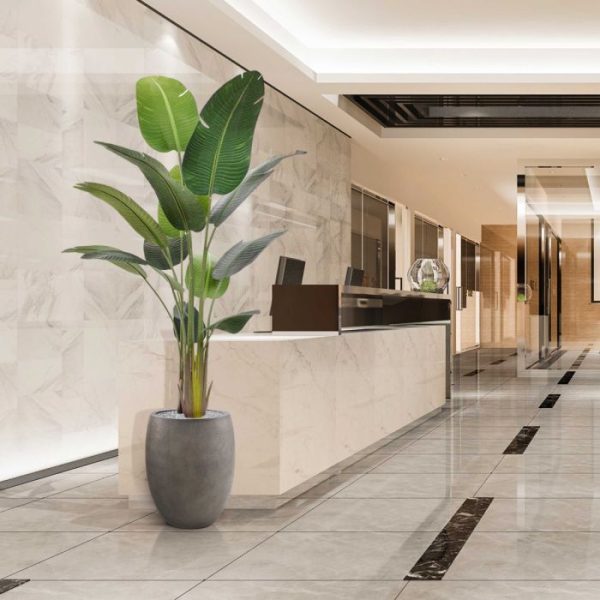 Strelitzia Nicolai kunstboom 190 cm 5