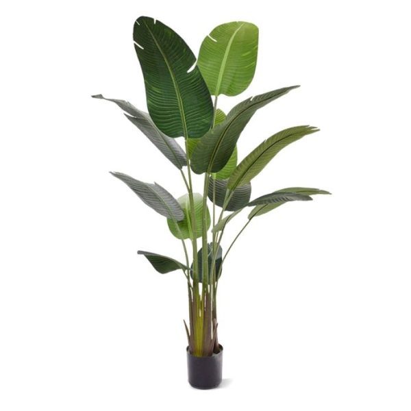 Strelitzia Nicolai kunstboom 190 cm 6