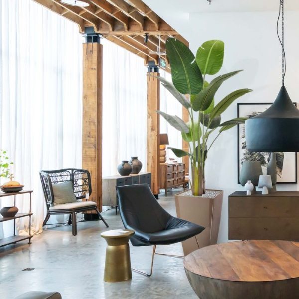 Strelitzia Nicolai kunstboom 190 cm 9