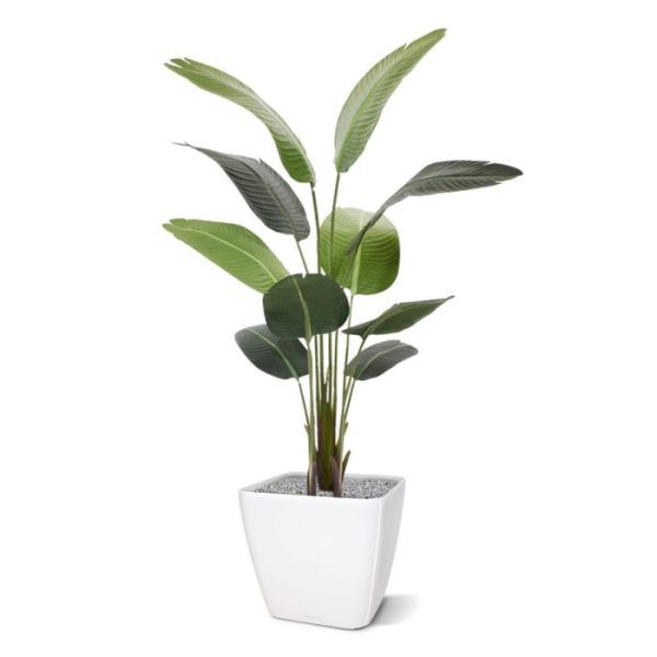 Strelitzia Nicolai kunstplant 150 cm 2