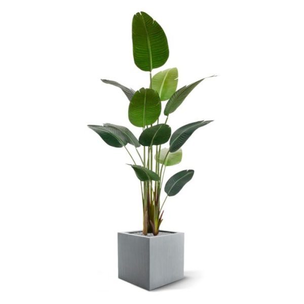 Kunstpalmen Strelitzia Nicolai kunstplant 180 cm 2