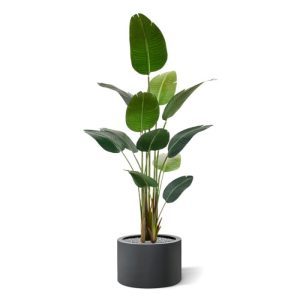 Nieuw: Strelitzia Nicolai kunstplant 180 cm