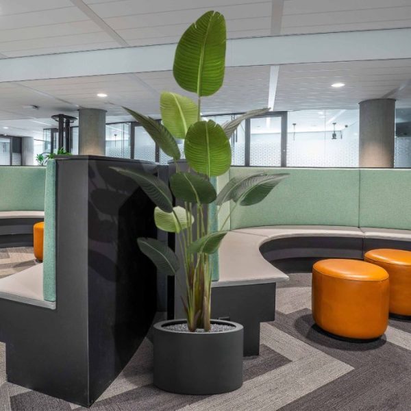 Strelitzia-Nicolai-kunstplant-180-cm-4 Strelitzia Nicolai kunstplant 180 cm 4