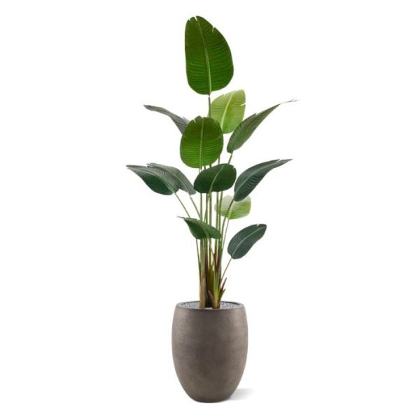 Strelitzia-Nicolai-kunstplant-180-cm-8 Strelitzia Nicolai kunstplant 180 cm 8