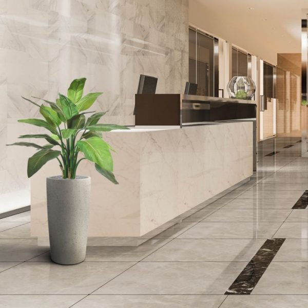 Oh zo behoorlijk die mooie bloeiende Strelitzia