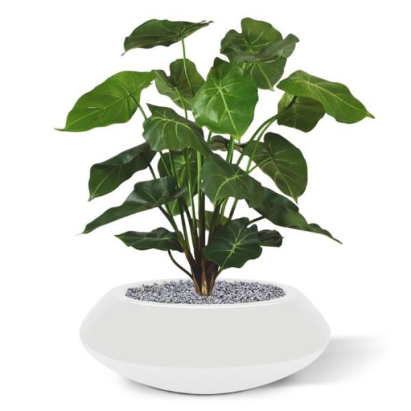 Syngonium kunstboeket 55 cm 1