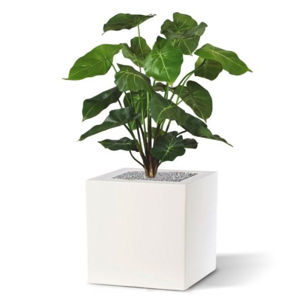 Syngonium kunstboeket 55 cm 2