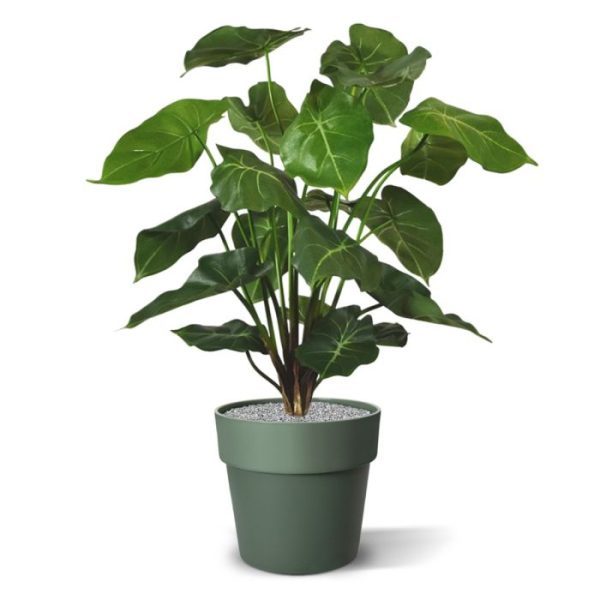 Nieuw - Syngonium kunstboeket 55 cm