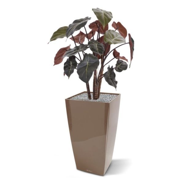 de vele bladeren en de hoge kwaliteit van de gebruikte materialen is deze plant praktisch niet van echt te onderscheiden.De Syngonium is opgebouwd uit 4 takken van echt hout. De plant heeft bovenop een donkergroene bladkleur met grijze bladnerven