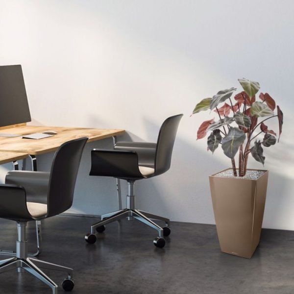 de breedte is circa 50 cm. Standaard wordt deze zijde kunstplant in een plastic pot geleverd