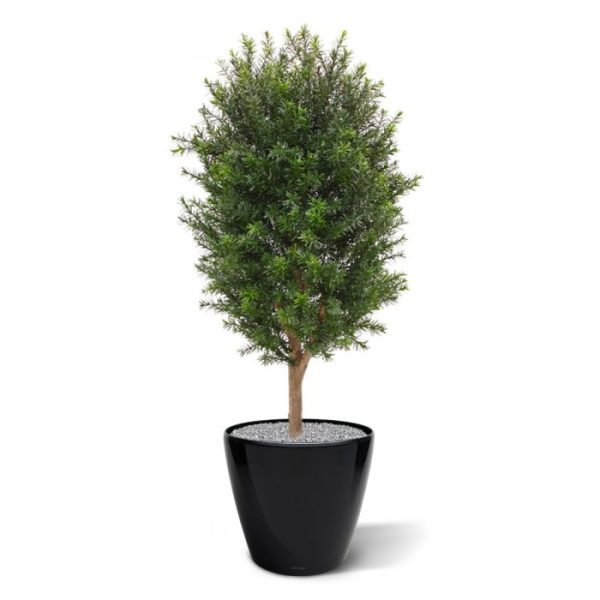 Een fantastische Uv-bestendige Taxus Kolom kunstplant 90 cm voor buiten gezocht? Dan zou deze levensecht nagemaakte kunsttaxus u beslist doen verrassen. Deze prachtige plant siert iedere tuin of buitenruimte op met zijn roodachtige schors en vele lancetvormige