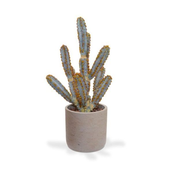 Tetragonus-Cactus-kunstboeket-45-cm-bruin-5 Tetragonus Cactus kunstboeket 45 cm bruin 5