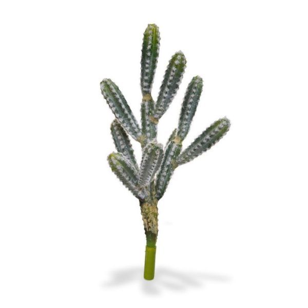 Tetragonus-Cactus-kunstboeket-45-cm-groen-3 en de breedte is ongeveer 25 cm. De cactus wordt geleverd als boeket zonder pot en is verkrijgbaar in groene en bruine kleuren en in de hoogtes van 36 en 45 cm. De groene is er ook in een hoogte van 70 cm. In kleine potten staan deze cactussen prachtig op een vensterbank.