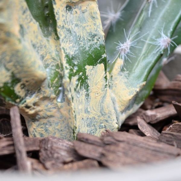 inclusief de stengel