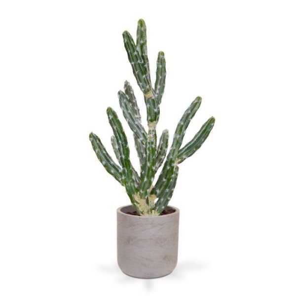 Tetragonus Cactus kunstboeket 70 cm groen 4