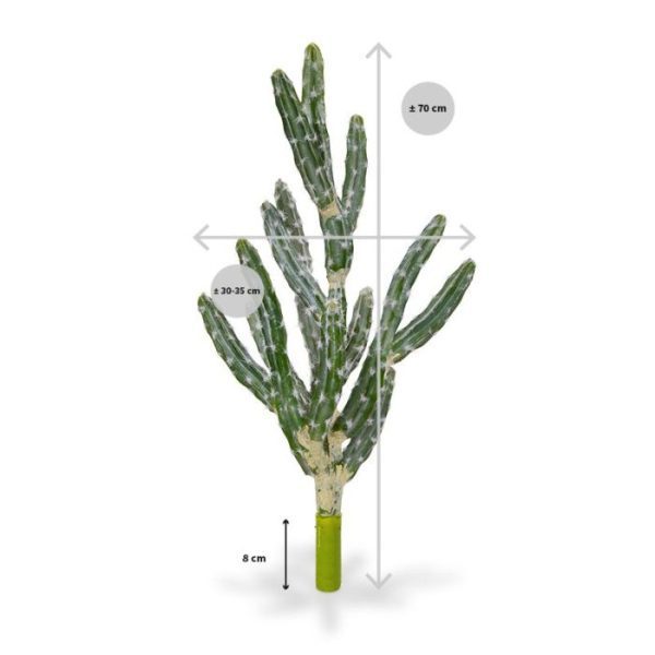 Deze nagemaakte Tetragonus-cactus is ook wel bekend als de prikkeldraad cactus. De plant heeft meerdere gebogen takken