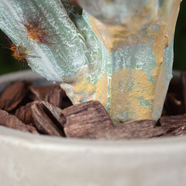 inclusief de stengel