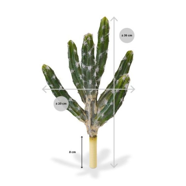 Deze nagemaakte Tetragonus-cactus is ook wel bekend als de prikkeldraad cactus. De plant heeft 6 gebogen takken