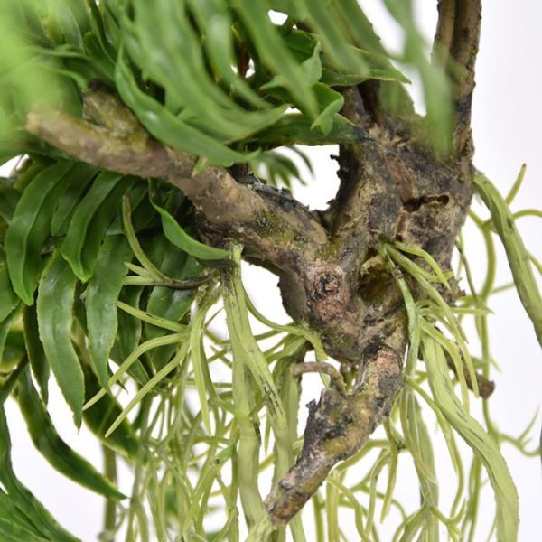 in de horeca of waar dan ook. De vrolijke frisgroene