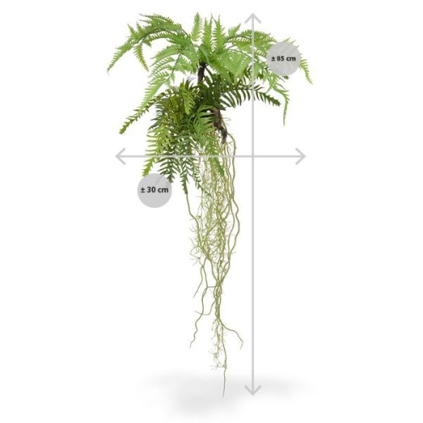 Combineer het beste van twee werelden met deze hanger voorzien van verschillende varens en een Tillandsia hangplant. Wedden dat uw bezoekers hier urenlang naar kunnen kijken? Waar gaat u deze blikvanger van een kunstwerk op liaan hangen? Wat een geweldige aanwinst zal deze Tillandsia / Varen hanger zijn op uw interieur thuis