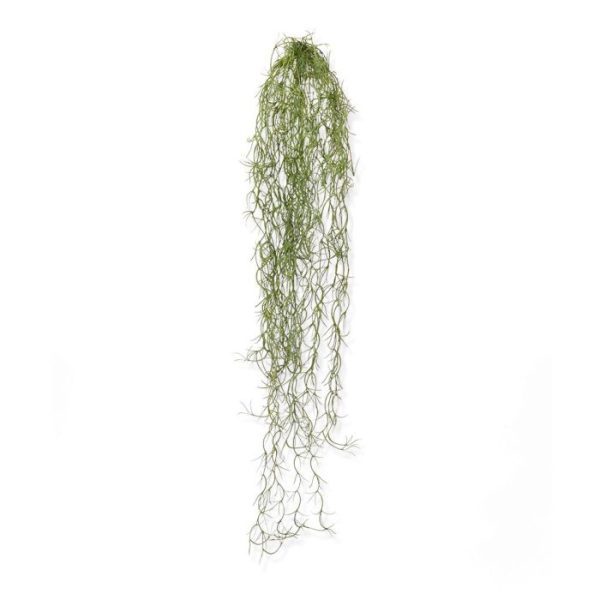 Tillandsia-kunsthanger-75-cm-5 Tillandsia kunsthanger 75 cm 5